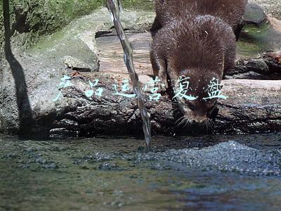 产品运营方案(作为运营，你懂你的产品吗？)