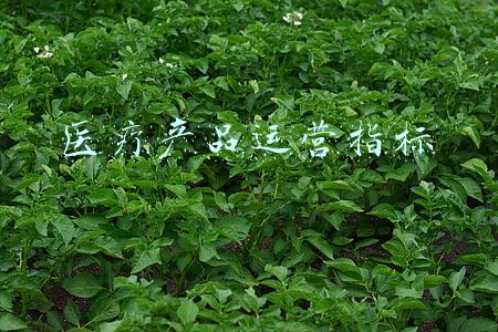 医院运营指标(《全国三级公立医院绩效考核》运营管理指标解读之总会计师)