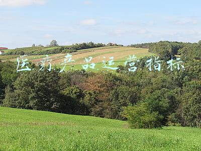 医疗器械产品注册(关于公布医疗器械注册申报资料要求和批准证明文件格式的公告)