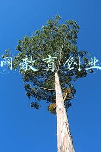 互联网教育创业方向