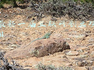 2020互联网创业(五个关键词，回望2021年的互联网行业)