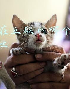 互联网行业 数据(2021年中国互联网行业经营现状及互联网百强企业排名统计)