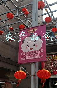 互联网农产品成功案例(借力“互联网+”！广州增城这样擦亮特色农产品“金色招牌”)