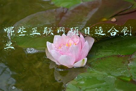 哪些互联网项目适合创业
