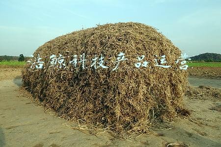 浩鲸科技是阿里巴巴子公司吗(经历半年转型，阿里系这家公司终于“浩鲸出世”)