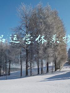 产品运营体系(私域“四力”增长模型之产品力拆解)