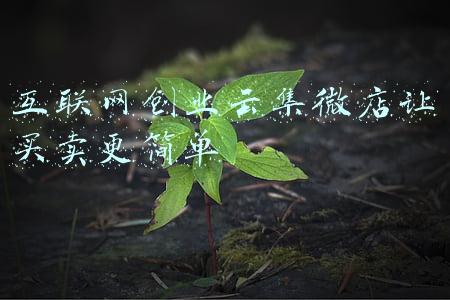 互联网创业云集微店让买卖更简单