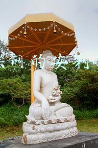 互联网安利是做什么的(互联网安利的优势)