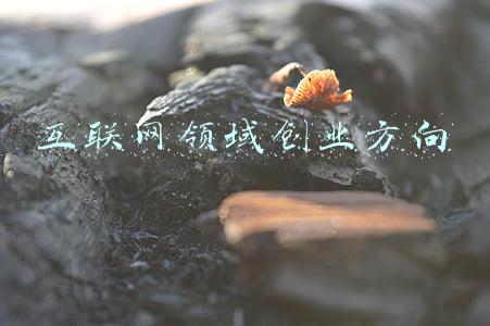 互联网领域知识产权保护(工业互联网知识产权保护与创新题何解？)
