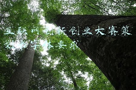 互联网创新创业大赛策划书字体要求