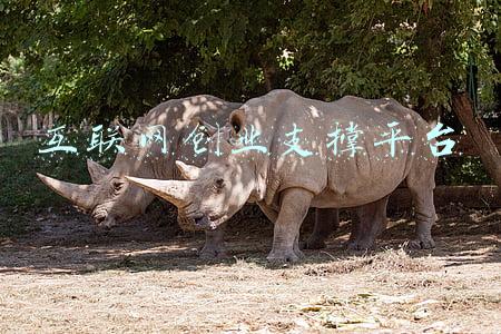 创业互助联盟平台(“大众创业互助平台”传销组织头目陆续被抓 有11名头目被判刑)