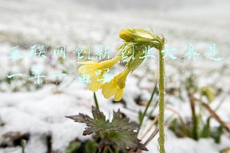 互联网创新创业大赛观后感(第七届中国国际“互联网+”大学生创新创业大赛有关情况)