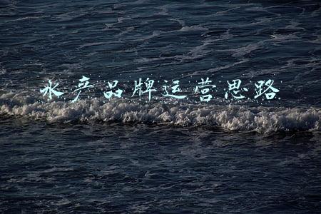 水产品牌运营思路