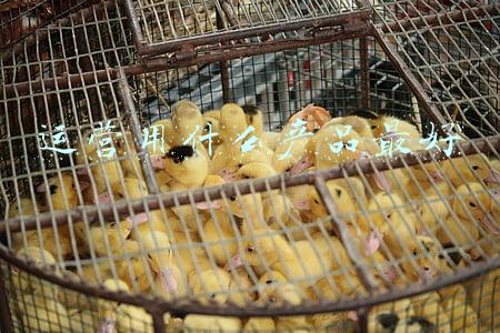 运营用什么产品最好