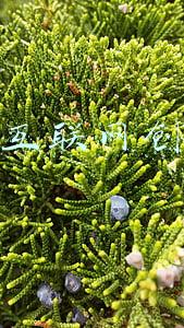 互联网创业项目平台有哪些(有好的互联网创业项目？求推荐？)