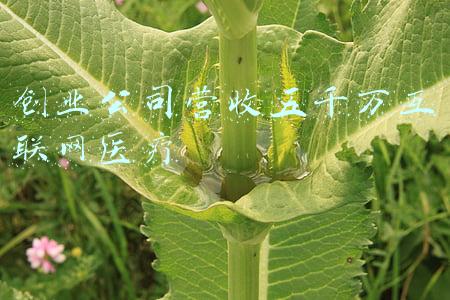 互联网医院盈利模式(10个月蒸发7000亿，互联网医疗不香了？)
