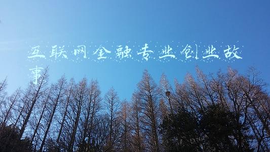 互联网金融专业创业故事