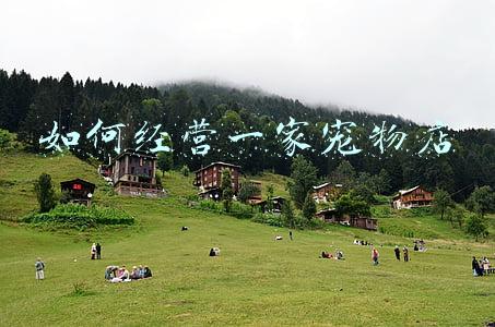 如何经营一家宠物店市场营销《开宠物店的营销策略》