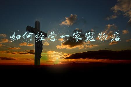 宠物店经营许可证-宠物店经营许可证怎么申请