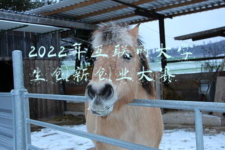 2022年互联网大学生创新创业大赛