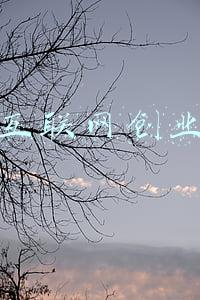 金蝶互联网创业公司