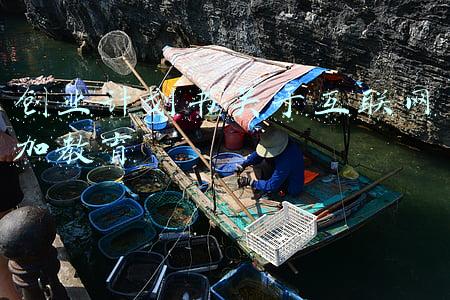 互联网创新创业计划书(\u0026#34;互联网+\u0026#34;大学生创新创业大赛商业计划书撰写与路演PPT制作)