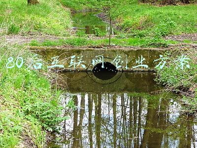 90后创业案例(“90后”青年返乡创业：技术与爱好助力家乡农业升级)