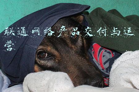 联通网络安装合同(100张截图，新手必看丨威联通NAS入门教程，快速成为运维大神)