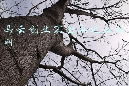 马云互联网大会演讲(马云最新演讲全文：新的、真正的、数字时代的全球化才刚刚打开)