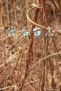 直播带货后台电脑(预算紧张又想做直播，抖音直播电脑配置该怎么选？)