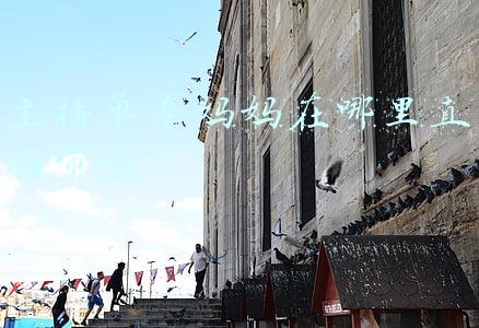 怎么找网红直播带货(网络直播如何找主播带货，找对了人流量发货才爆满)