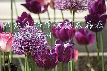 网红直播带货营销模式(直播带货话术：六大话术即学即会，助你成为直播带货高手)