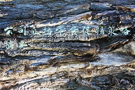 说明直播带货模式的促销优势以及开展公益直播带货(邕有爱 E起来！以大流量带动好销量 网络公益直播助力乡村振兴)