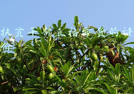 领导干部直播带货方案(超详细直播带货流程，及直播脚本文案模板)