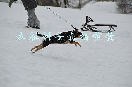 衣服裤子直播带货