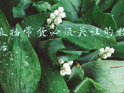 直播带货必须关注的数据