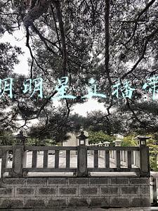 陈明明星直播带货