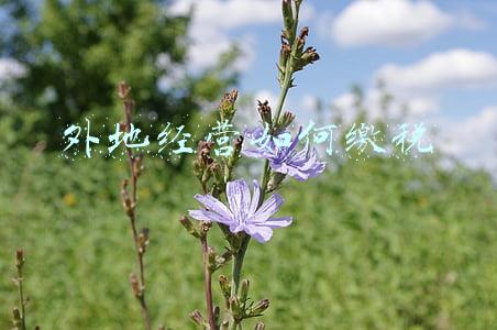 外地经营如何缴税