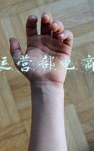 电商事业部(南极电商：公司已成立跨境电商事业部，正布局相关业务)