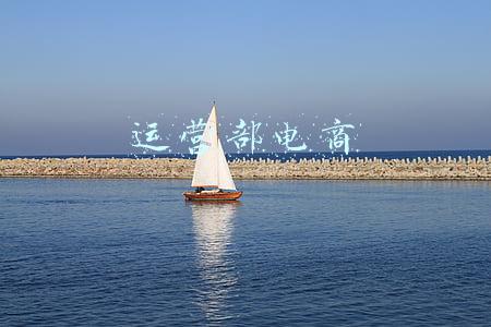 销售部 电商部(快看｜小红书组织架构调整：社区部和电商部合并)