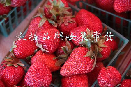 直播品牌女装带货