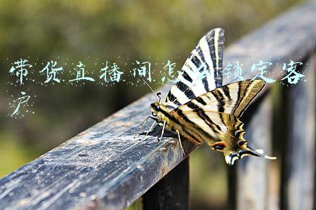 带货直播间怎么锁定客户