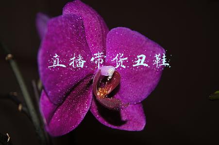 直播带货抽成(直播带货的分成原来这么高，但是也太卷了吧...)