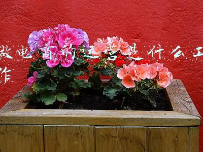 电商运营的主要工作(做电商运营，一天的​工作内容到底是什么)