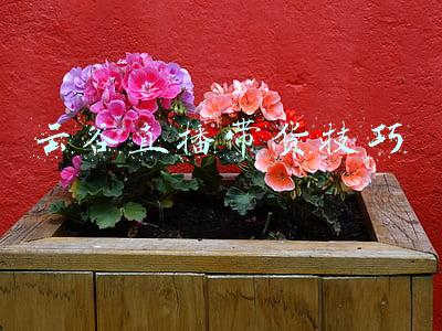 西部云谷招聘信息(秦创原·西部云谷 | 东风正好，迎风上)