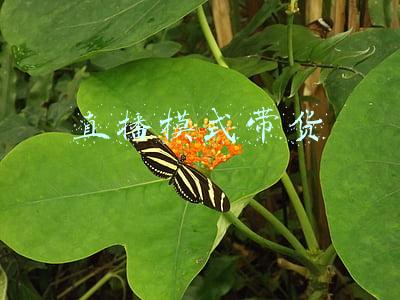 直播带货合作模式(你知道直播带货有哪些合作模式吗？哪种更靠谱？)