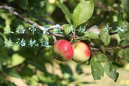 直播带货亟须规范步入法治轨道