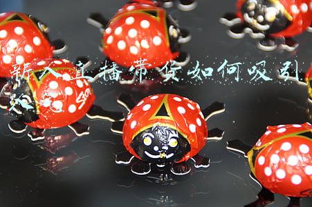 新人直播带货的技巧(网上直播带货需要准备什么？干货分享篇)