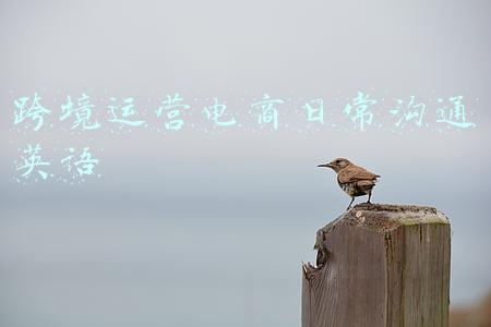 跨境电商英语翻译(关于跨境电商你不得不了解的基础知识)