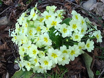 电商平台运营管理(电商企业运营管理全套方案)